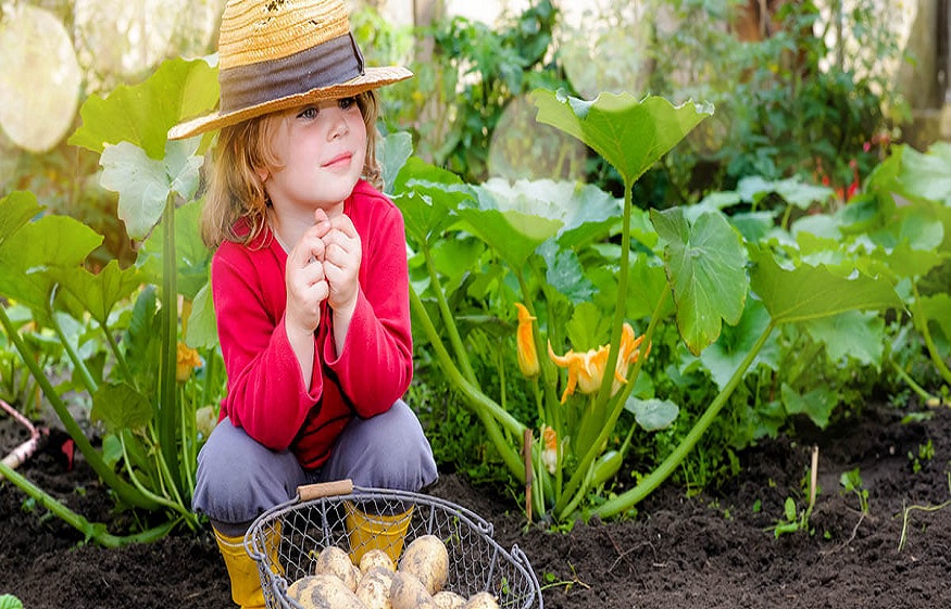 Gardening: Improving the Quality of Your Garden’s Topsoil
