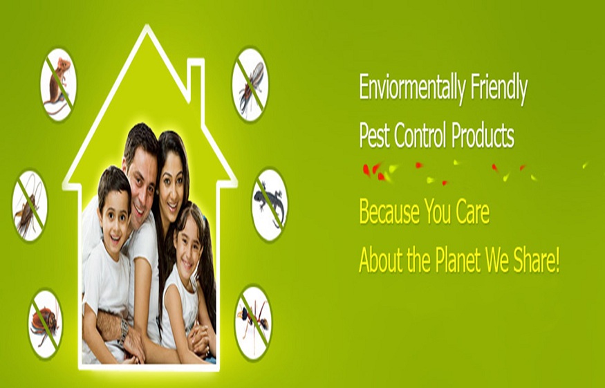 Reasons to Hire a Pest Control Agency for your Home