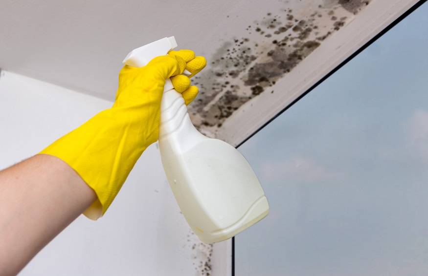 Cleaning Vinyl Siding With Bleach: Is It Safe?