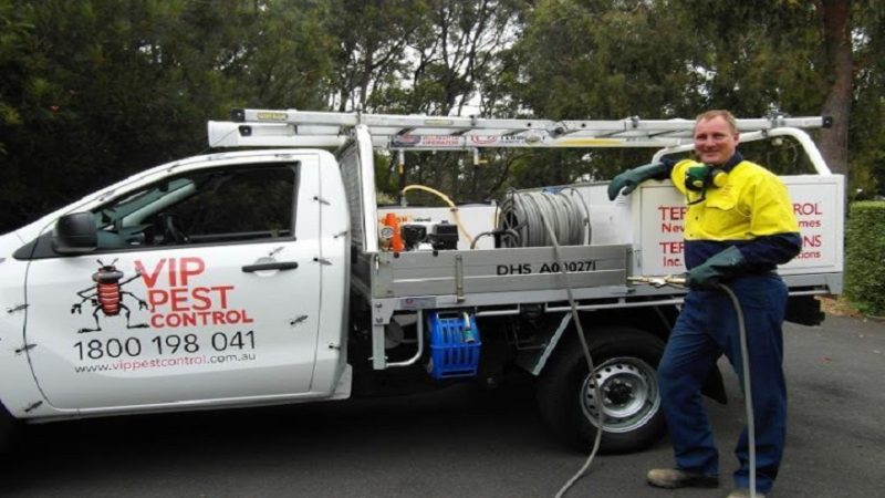 Why We Need Pest Control ControlIn Melbourne Instead of Doing it Yourself