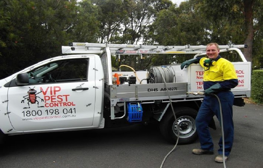Why We Need Pest Control ControlIn Melbourne Instead of Doing it Yourself