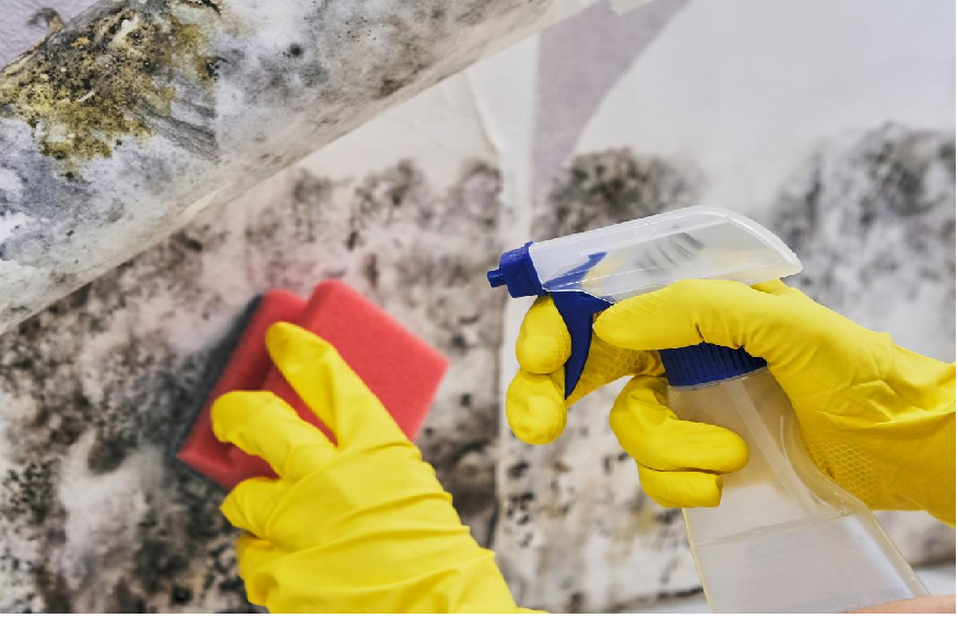 The best way to prevent and combat mold in your home during the winter