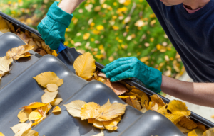 Gutters Need Cleaning