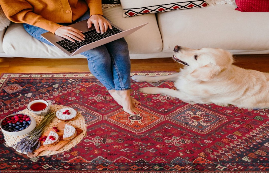 Top Reasons Why You Should Buy Rug Source Traditional Rugs!