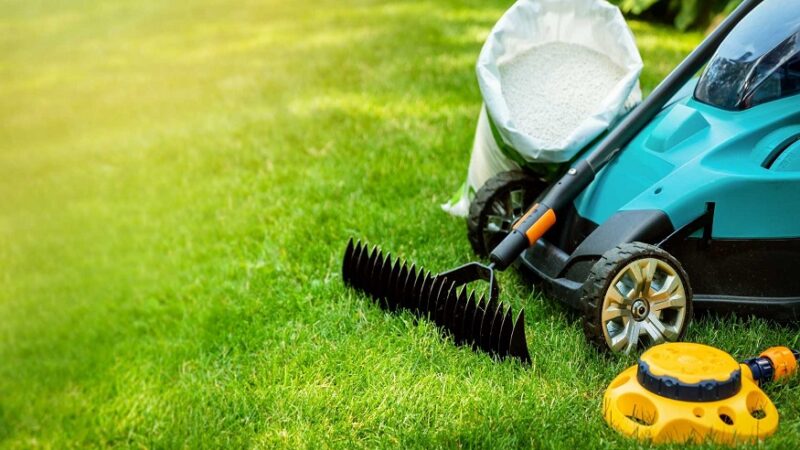 Enhance Your Lawn’s Health with Expert Lawn Aeration in Temple, Texas