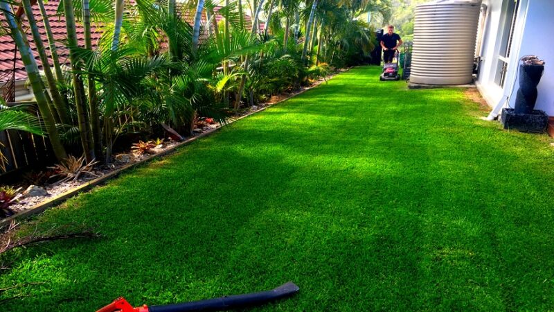 Top Tips for a Perfectly Manicured Lawn on the Gold Coast