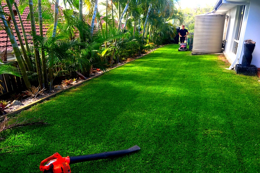 Top Tips for a Perfectly Manicured Lawn on the Gold Coast