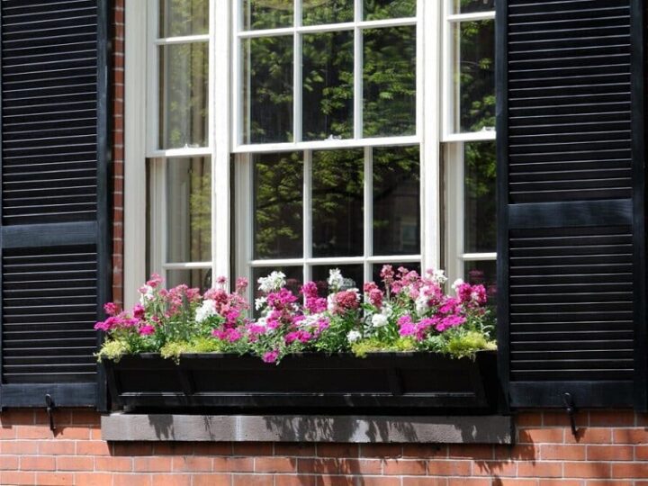 Restoring Period Character: A Guide to Sash Window Restoration and Repair in London