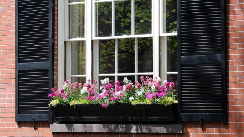 Restoring Period Character: A Guide to Sash Window Restoration and Repair in London
